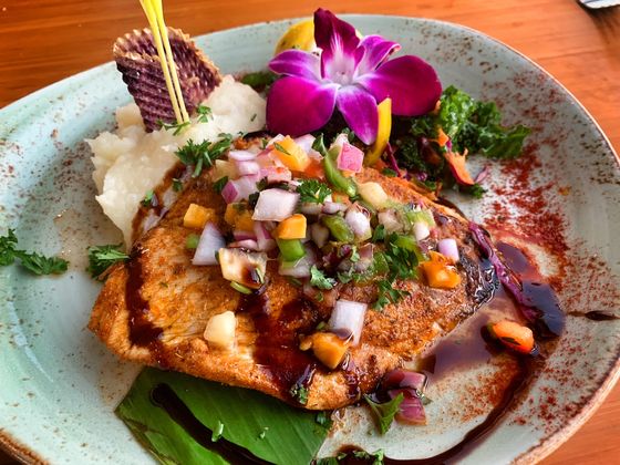 Mahi Mahi