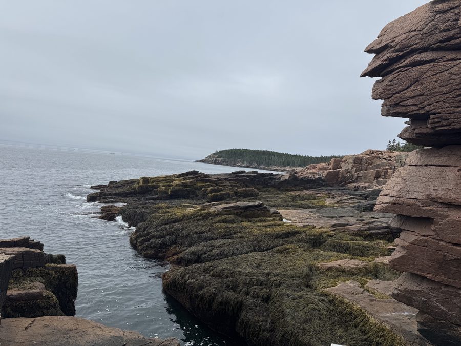 The Coast